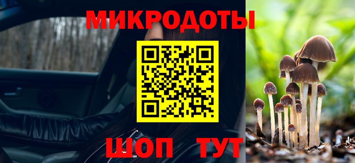 Серов  Псилоцибиновые грибы прущие грибы  Псилоцибиновые грибы прущие грибы  Вход с VPN 